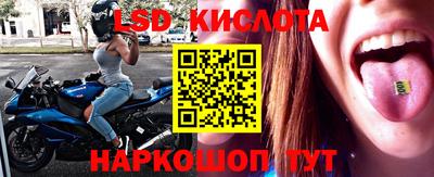 дурь Сланцы