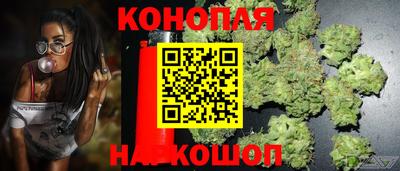 дурь Сланцы